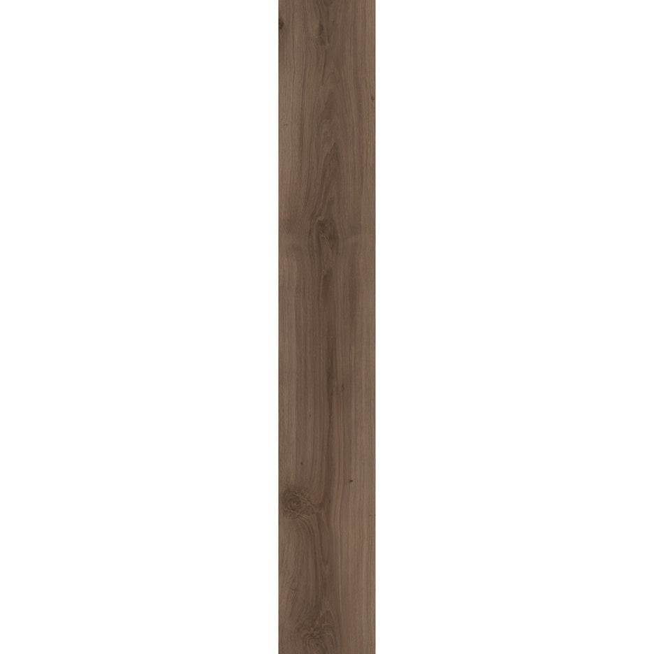 Classic Oak 24864