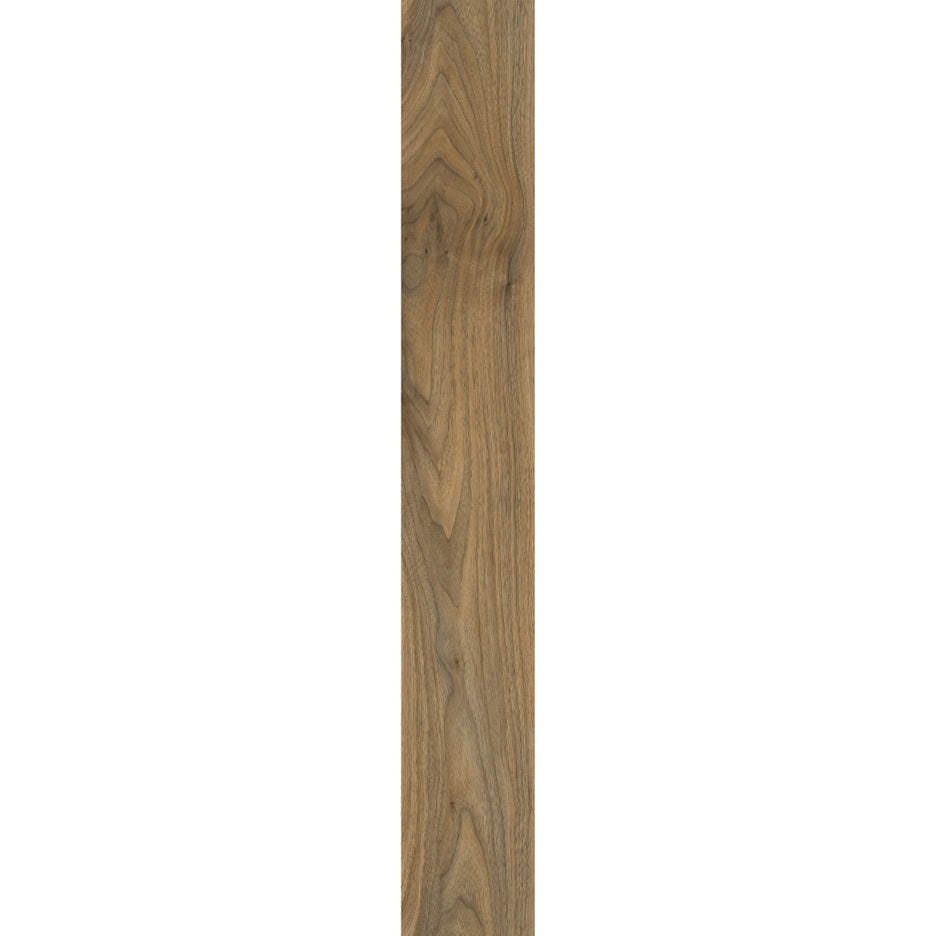 English Walnut 20565