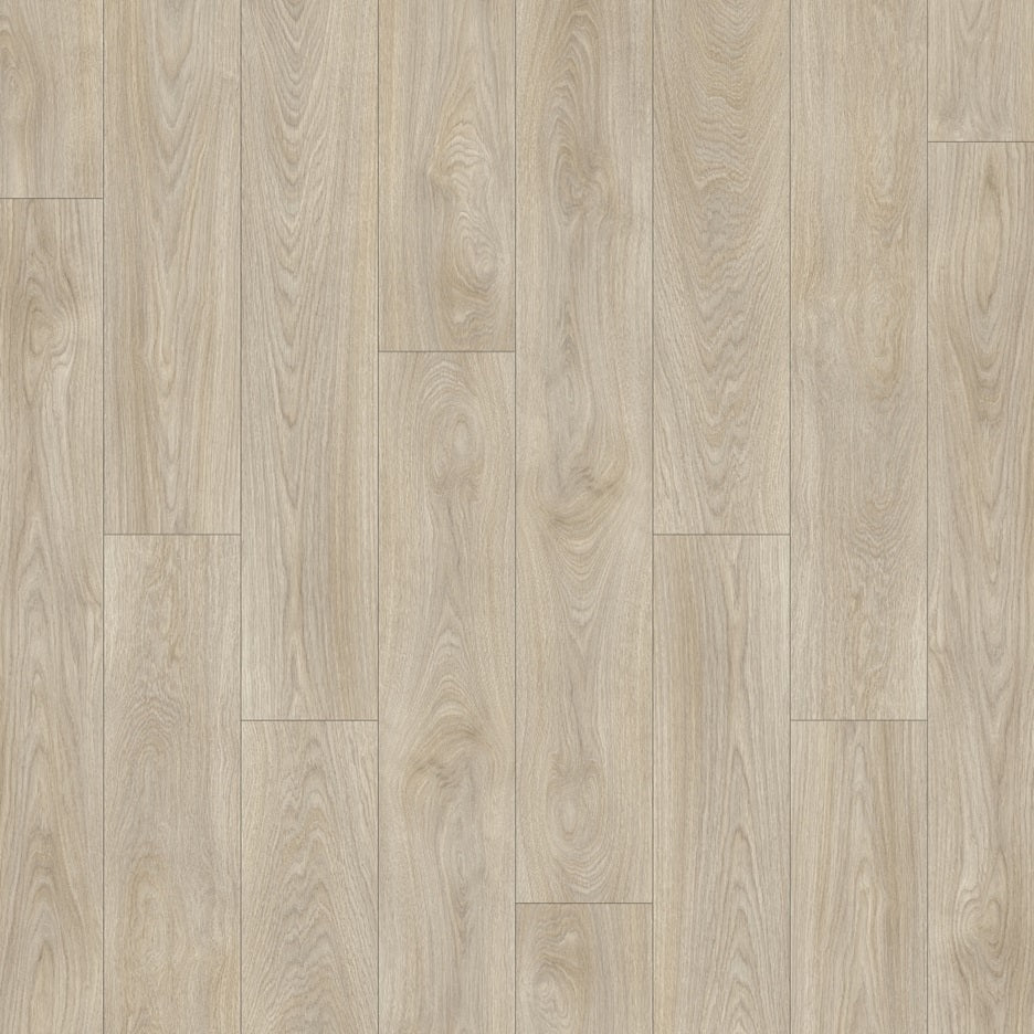 Laurel Oak 51222