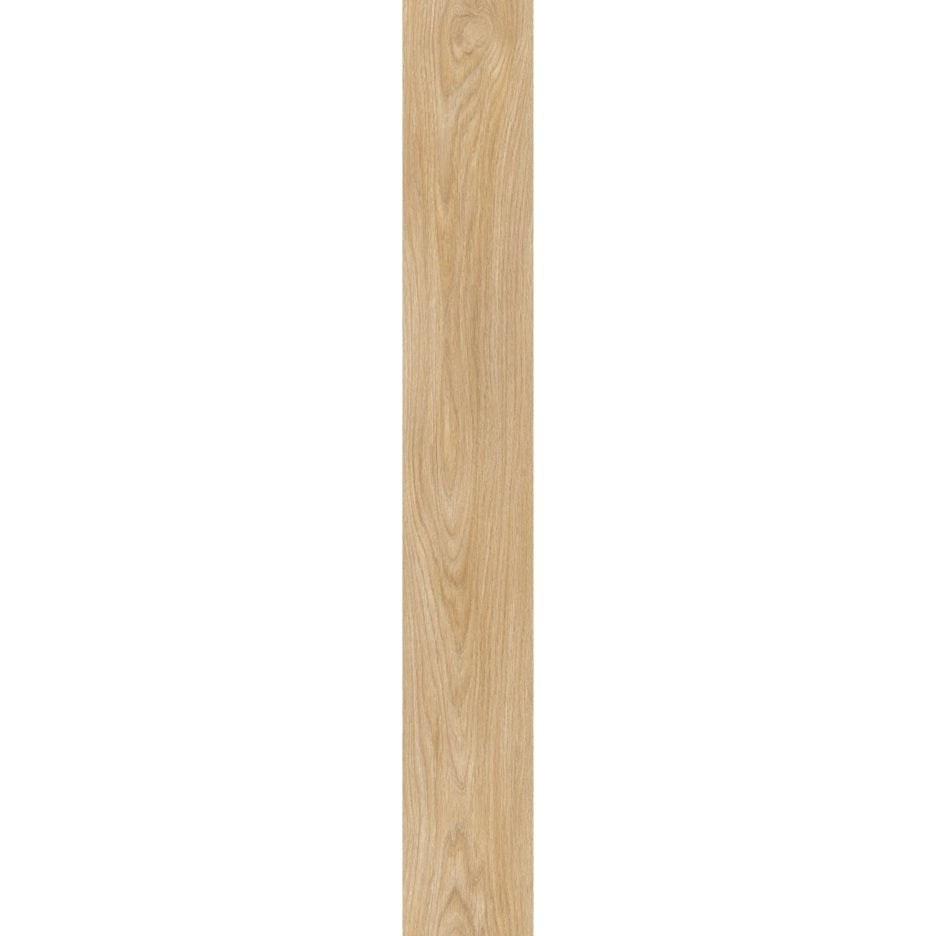 Laurel Oak 51282