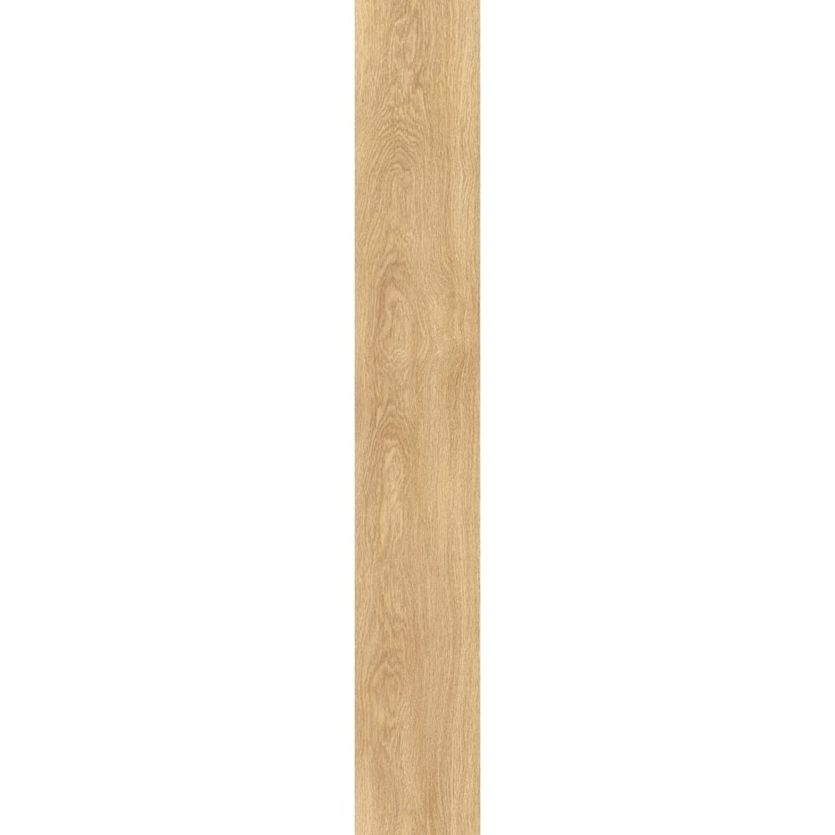 Laurel Oak 51332