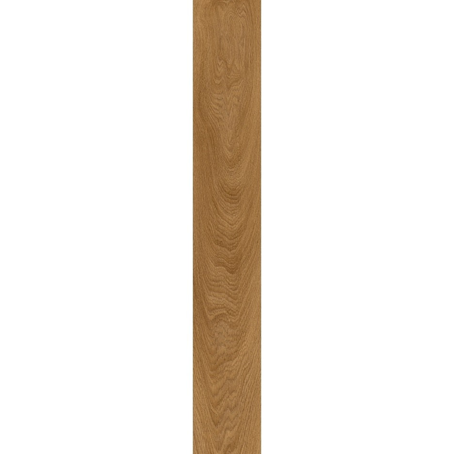 Laurel Oak 51822