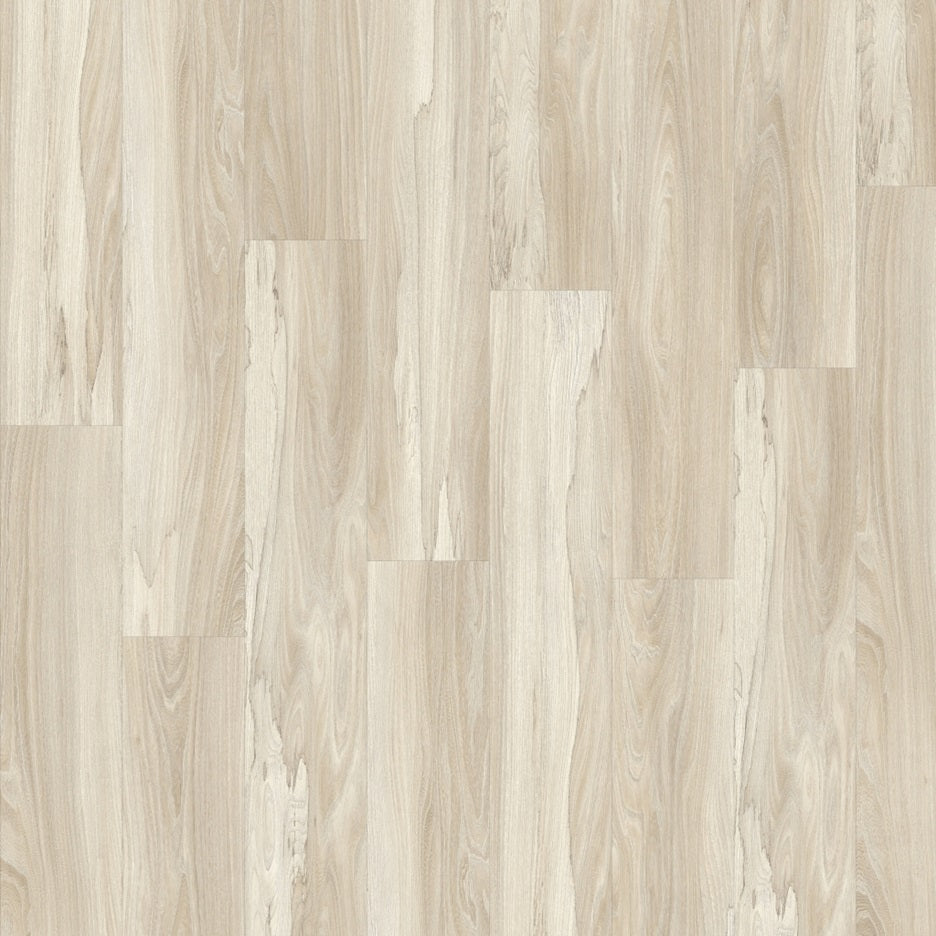 Marsh Wood 22248