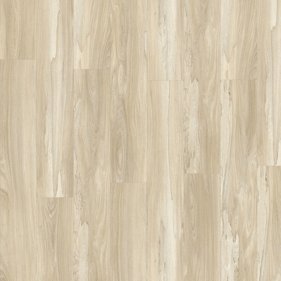Marsh Wood 22326