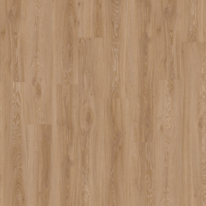 Blackjack Oak 22450