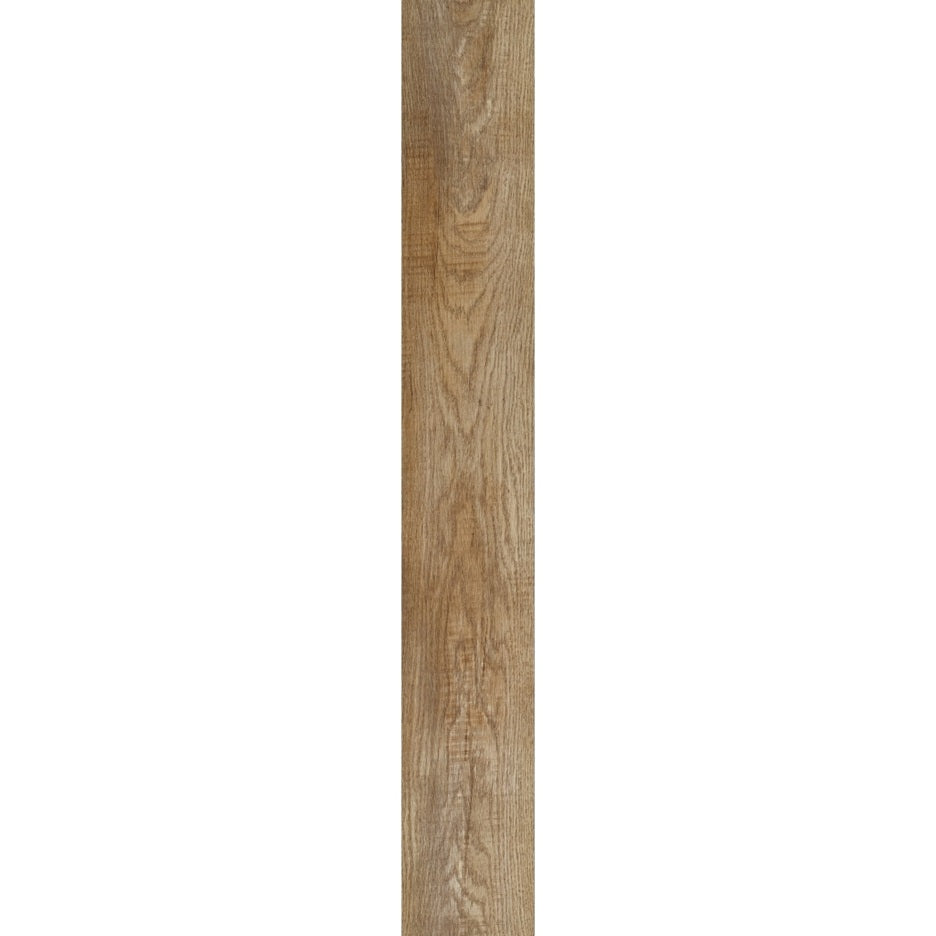 Country Oak 24842