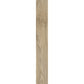 English Walnut 20226