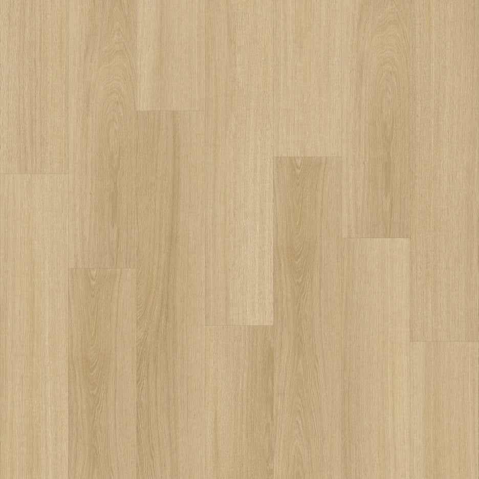 Glyde Oak 22219