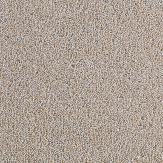 Cosmopolitan Cornsilk