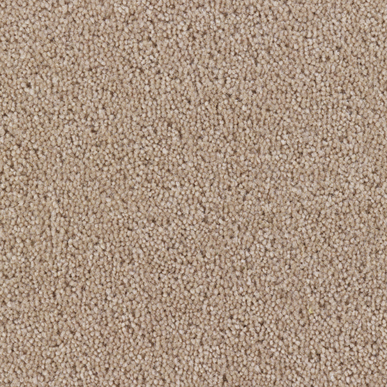 Cosmopolitan Tan