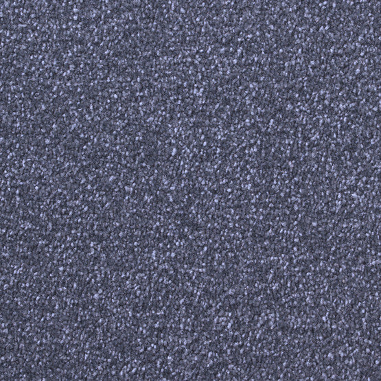 Stain-less Distinctions Commodore