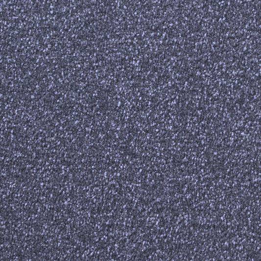 Stain-less Distinctions Commodore