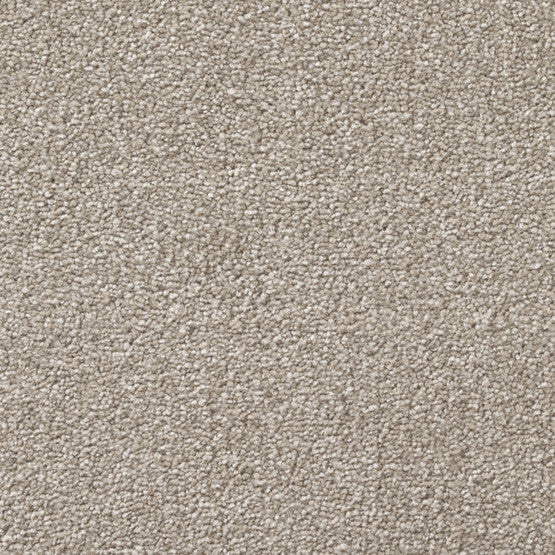 Stain-less Distinctions Desert