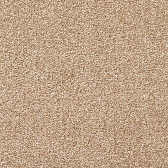 Stain-less Distinctions Flax