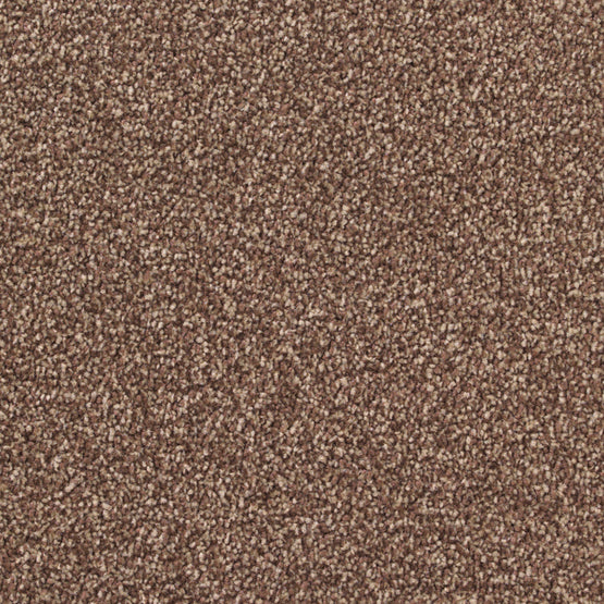 Stain-less Distinctions Ibex