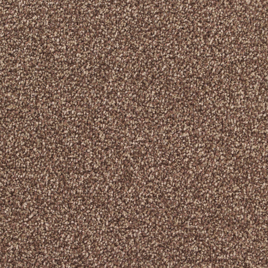 Stain-less Distinctions Ibex