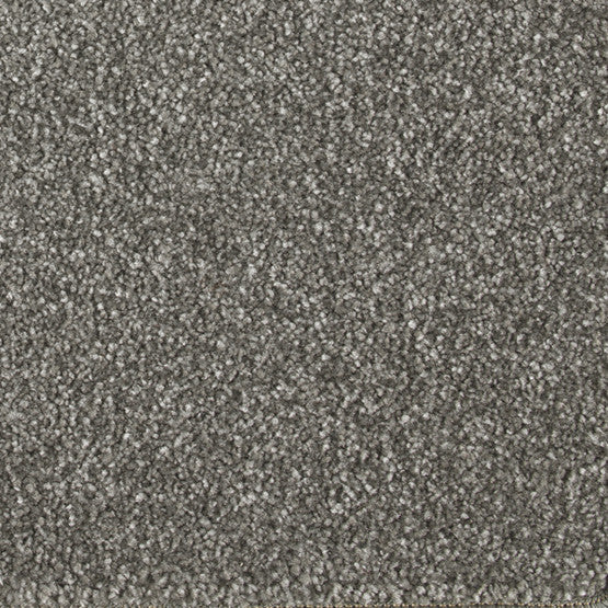 Stain-less Distinctions  Chinchilla