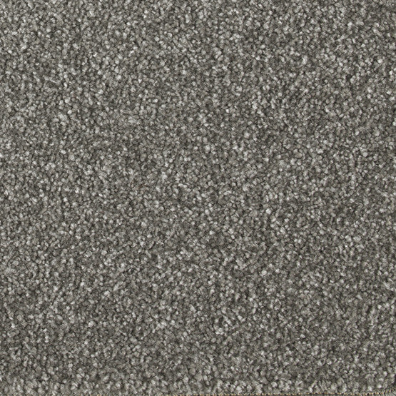 Stain-less Distinctions Chinchilla