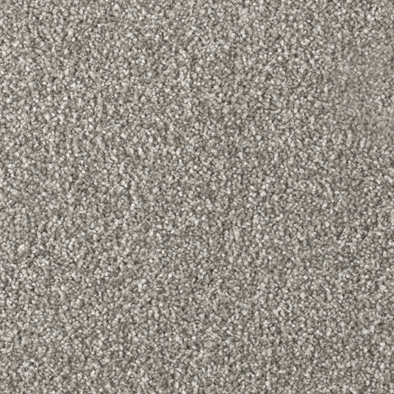 Stain-less Distinctions Palladium