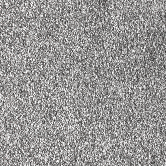 Stain-less Distinctions Plover